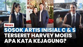 SOSOK ARTIS INISIAL C dan S yang Terlibat Kasus Korupsi Timah Harvey Moeis Ini Kata Kejagung