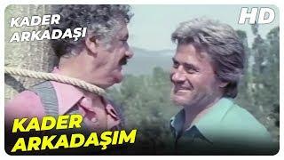 Kader Arkadaşı - Yusuf Kader Arkadaşını Kurtardı  Cüneyt Arkın Eski Türk Filmi