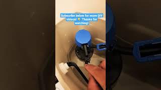 Weak Toilet Flush? Simple and Easy Fix