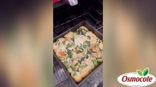 Fresh Herb and Cheese Bread Recipe