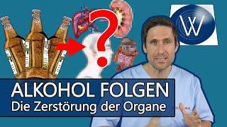 Alkohol und seine Folgen Bereits zu spät? Diese Schäden entstehen an Herz Leber Hoden & Gehirn