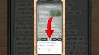 Cara Mengubah Gambar Menjadi Teks di Android  Pakai Google Lens