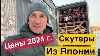 Сколько стоят скутеры В 2024 году контейнер из Японии Обзор цен