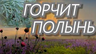 Братья Радченко откроют вам секрет что без женщин жизни-нет