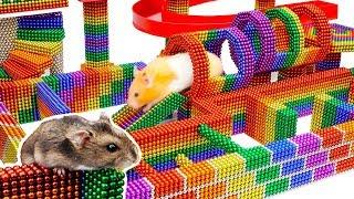 DIY - Build Fantastic Maze For Hamsters Pet From Magnetic Balls Satisfying - Magnet Balls