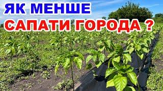 Боремось з бурянами без сапи . Чорне агроволокно для мульчування