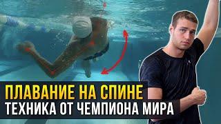 Как плавать на спине?  5 правил от ЧЕМПИОНА МИРА Техника плавания на спине + ЧЕК ЛИСТ