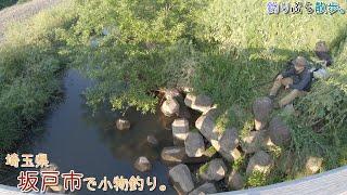 久しぶりにコ〇〇バ〇釣りました・・・。 埼玉県 坂戸市で小物釣り。