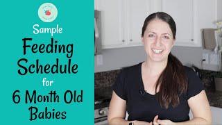 Sample 6 Month Old Baby Feeding Schedule  Baby Led Weaning