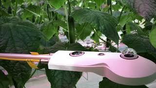 Intelligent sensors in cucumber to be used in autonomous greenhouse control