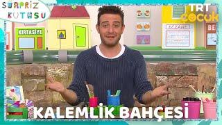 Sürpriz Kutusu - Kalemlik Bahçesi