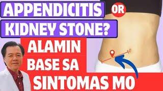 Appendicitis or Kidney Stone? - By Doc Willie Ong Internist and Cardiologist