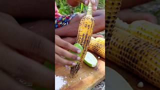 Sweet Corn  Indian Bhutta  Masala Corn Making Process With Emotional Friendship Story.