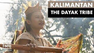 Kalimantan  The Dayak Tribe