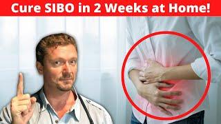Cure SIBO in 2 weeks Bloating & Belly Pain Gone