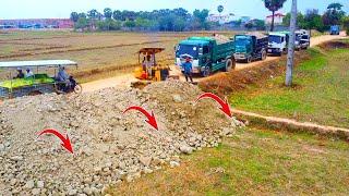 Start A New Project Filling Rice Field Strong Bulldozer Pushing Soil Into rice field & 5ton truck.