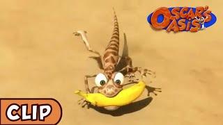 Oscars Oasis - Have a Banana