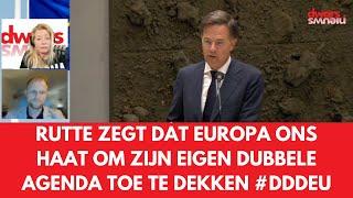 Rutte zegt dat Europa ons haat om zijn eigen dubbele agenda toe te dekken. #DDDEU met Sander Smit.