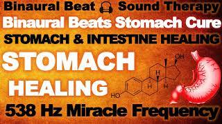 STOMACH - Intestine & Digestion Cure  Stomach Pain Relief  Healing Music  Abdomen Pain Relief