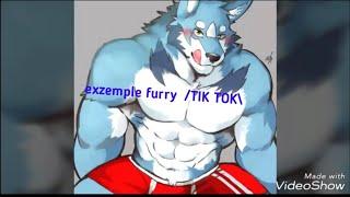 FURRY GAY EXZEMPLE #2