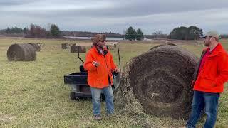 Bumper Crops Bale Grazing Winter Grazing