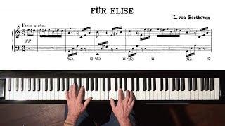 Beethoven “Für Elise” Paul Barton FEURICH 218 piano