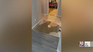 Couple Says Property Manager Ignoring Complaints  July 23 2024  News 19 at 6 p.m.