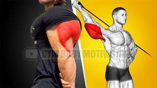 Best Triceps Workout at Gym with Cable Only