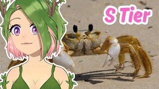 The Crustacean Tier List  Cami reacts to Tier Zoo