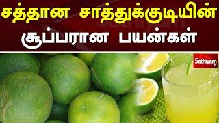சத்தான சாத்துக்குடியின் சூப்பரான பயன்கள்  Sweet Lemon  Mosambi  Web Special  Sathiyam Tv