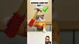 Working ASMR #puffknowsbetter #puffpuff #thelittlepuff #puff #shorts #reaction #cat #diy #pets