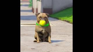 GTA V MICHAEL THROW DOG FOR NEW PET DOG #shorts  Maheshwar Gamerz