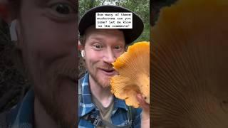 Mushroom Compilation How Many Can You Name in the Comments?