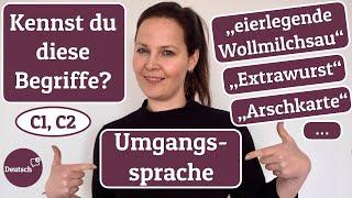 Deutsch C1 C2 Kennst du diese Begriffe aus der Umgangssprache?