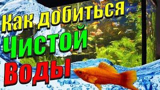 Мутная вода в аквариуме? Как добиться чистой воды в аквариуме Как это получилось у меня