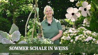 Sommerschale in Reinweiß - eine natürliche Inspiration für deinen Garten