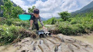 Fish trap orphan boy Nam makes his own fish trap from discarded plastic pipes. Catch fish to cook