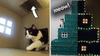 Huge Four Level Christmas Tree – a Maze For The Cat