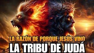 ¿Por qué JESÚS PROVIENE de JUDÁ?  EL León de JUDÀ? ¿Qué Significa esto ?