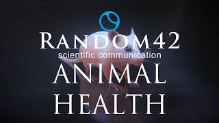 Animal Health Animation Showreel