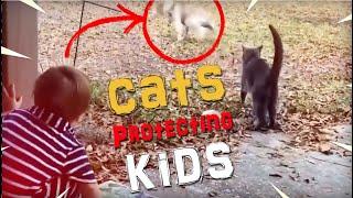 INSPIRATIONAL  Cats protecting babies and owners away from danger