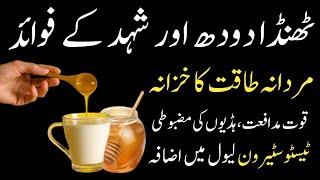 What Are The Great Benefits of Drinking Milk With Honey  Thanda Doodh Aur Shahad Ke Fayde-Honey