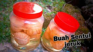 Buah Sentul jeruk  cara buat jeruk Sentul manis