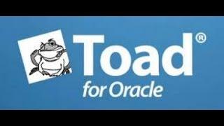 Excel File Import into Oracle Database table using Toad