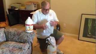 How to remove dog urine from carpet