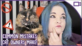 Common Mistakes Cat Owners Make