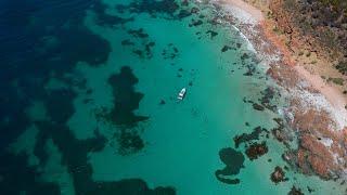 Kangaroo Island South Australia. Rising from the Ashes