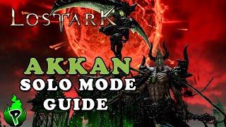 Solo Mode Guide Akkan l  Lost Ark EU  DerPyr0n