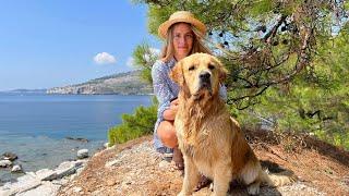 Watch this Dog Enjoy Sun Water and Splashing Waves