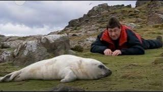 Alan Titchmarsh British Isles A Natural History Part 1 - Three Billion Years in the Making